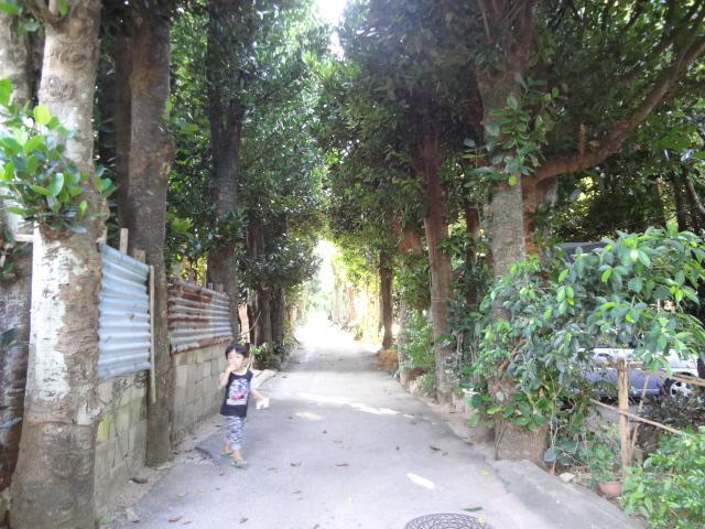 Bise House Konuk evi Motobu Dış mekan fotoğraf